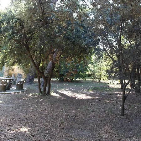 Appartamento De Lucien Entre Arles, Nimes, Avignon. *