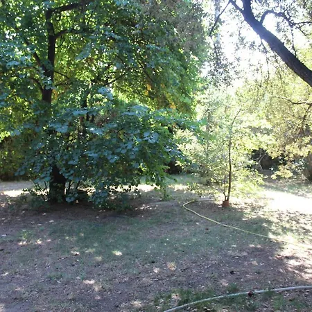 Apartamento De Lucien Entre Arles, Nimes, Avignon. *