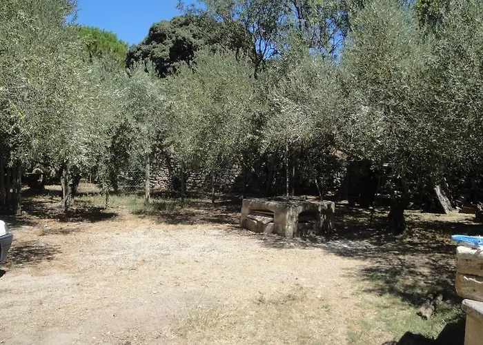 De Lucien Entre Arles, Nimes, Avignon. Apartamento *